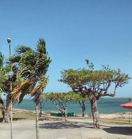Hotel Des Amandiers Cayenne Kültér fotó