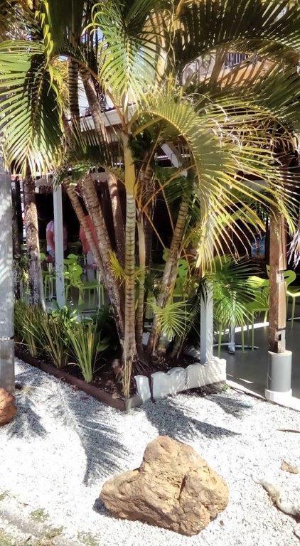 Hotel Des Amandiers Cayenne Kültér fotó